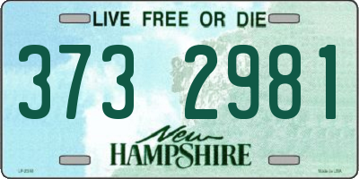 NH license plate 3732981