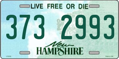 NH license plate 3732993