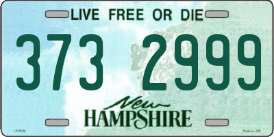 NH license plate 3732999