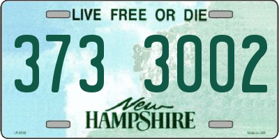 NH license plate 3733002