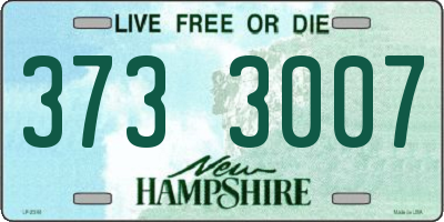 NH license plate 3733007