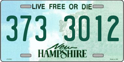 NH license plate 3733012