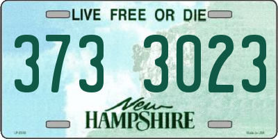 NH license plate 3733023