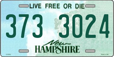 NH license plate 3733024