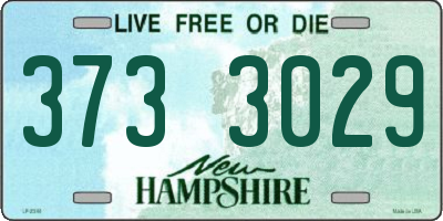NH license plate 3733029
