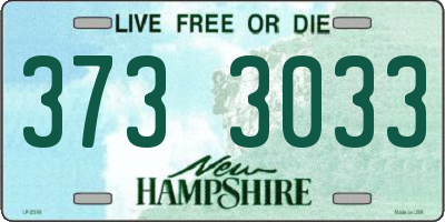 NH license plate 3733033