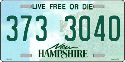 NH license plate 3733040