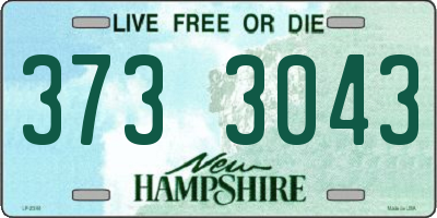 NH license plate 3733043