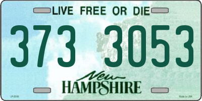 NH license plate 3733053