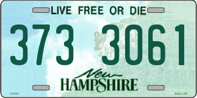 NH license plate 3733061