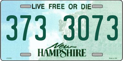 NH license plate 3733073