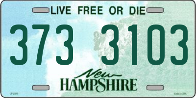 NH license plate 3733103