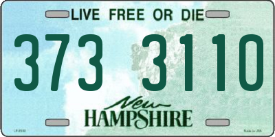 NH license plate 3733110