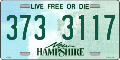 NH license plate 3733117