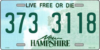 NH license plate 3733118