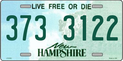 NH license plate 3733122