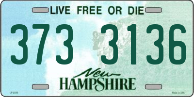 NH license plate 3733136