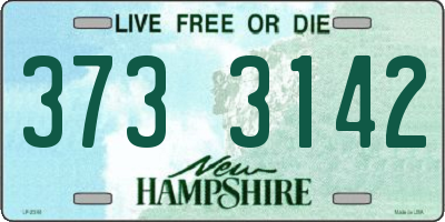 NH license plate 3733142