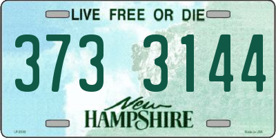 NH license plate 3733144