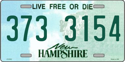 NH license plate 3733154