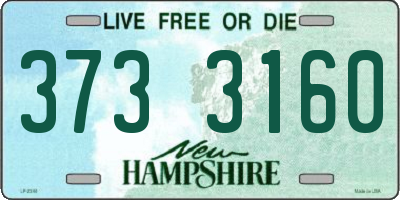 NH license plate 3733160