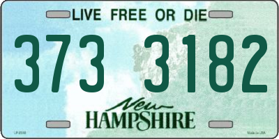 NH license plate 3733182