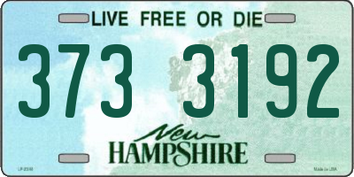 NH license plate 3733192