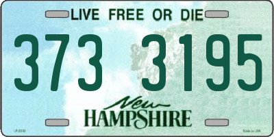 NH license plate 3733195