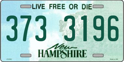NH license plate 3733196