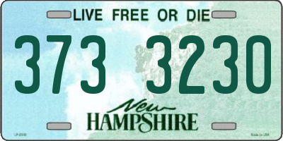 NH license plate 3733230