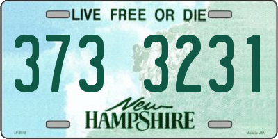 NH license plate 3733231