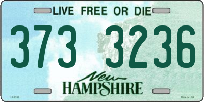 NH license plate 3733236