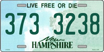 NH license plate 3733238