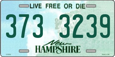 NH license plate 3733239