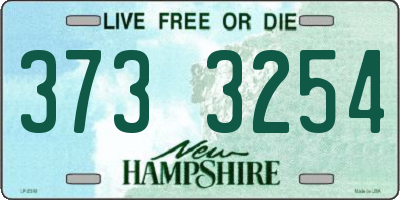 NH license plate 3733254