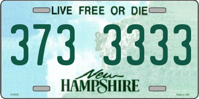 NH license plate 3733333