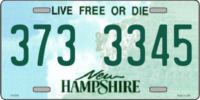 NH license plate 3733345