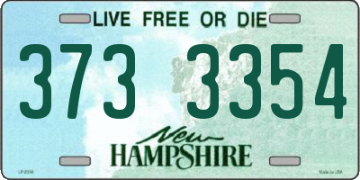 NH license plate 3733354