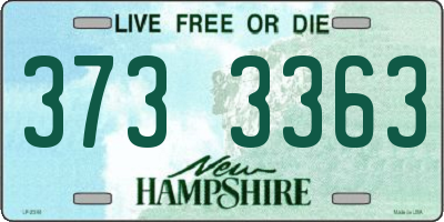 NH license plate 3733363