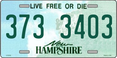 NH license plate 3733403