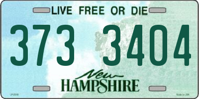 NH license plate 3733404