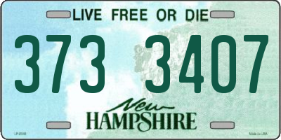NH license plate 3733407