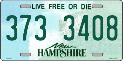 NH license plate 3733408
