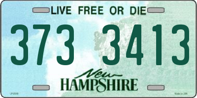 NH license plate 3733413
