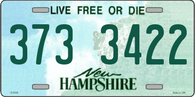 NH license plate 3733422