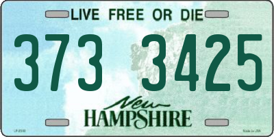 NH license plate 3733425