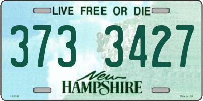 NH license plate 3733427