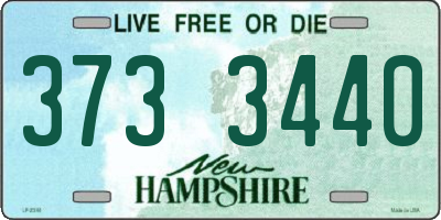 NH license plate 3733440