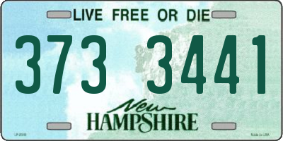 NH license plate 3733441