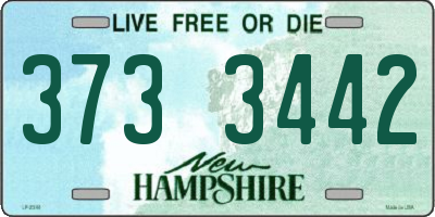 NH license plate 3733442